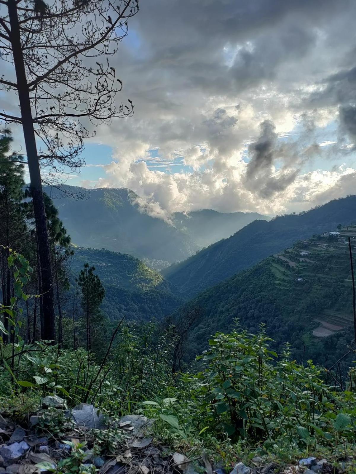 Valley View Camps &Cottages Nature Heights Nainital Exterior photo